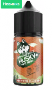 Жидкость для электронных сигарет HUSKY Mint Series SALT - Water Place 30мл 20mg
